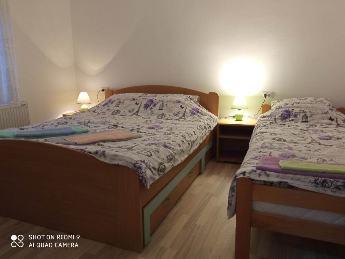 Guest House Vila Banjica Пирот Экстерьер фото