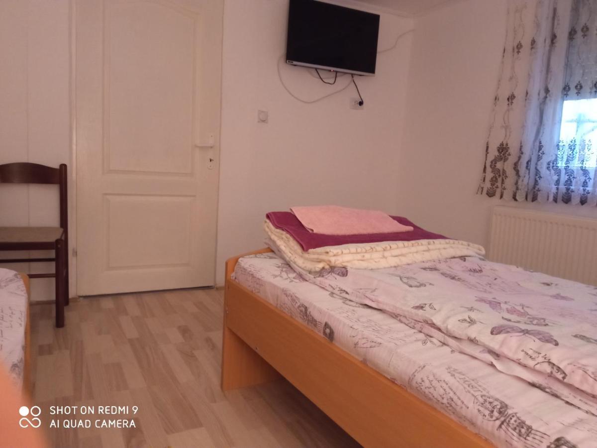 Guest House Vila Banjica Пирот Экстерьер фото