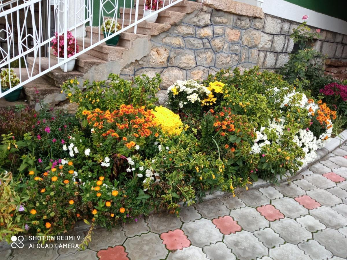 Guest House Vila Banjica Пирот Экстерьер фото