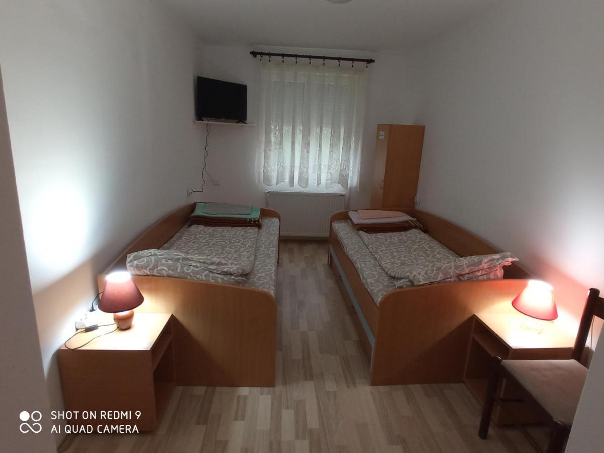 Guest House Vila Banjica Пирот Экстерьер фото