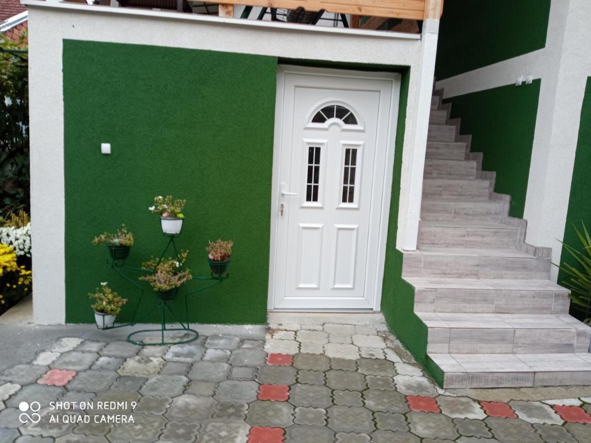 Guest House Vila Banjica Пирот Экстерьер фото