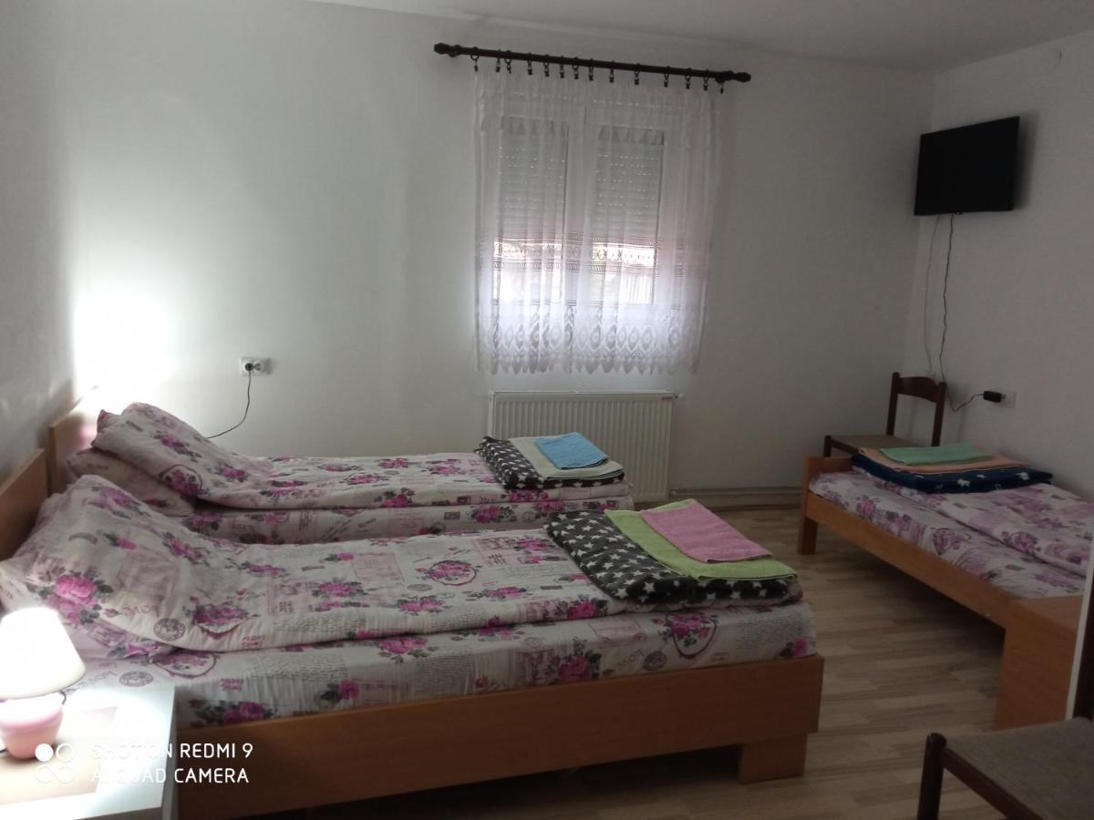Guest House Vila Banjica Пирот Экстерьер фото