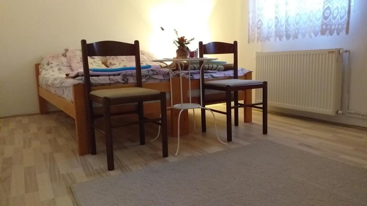 Guest House Vila Banjica Пирот Экстерьер фото