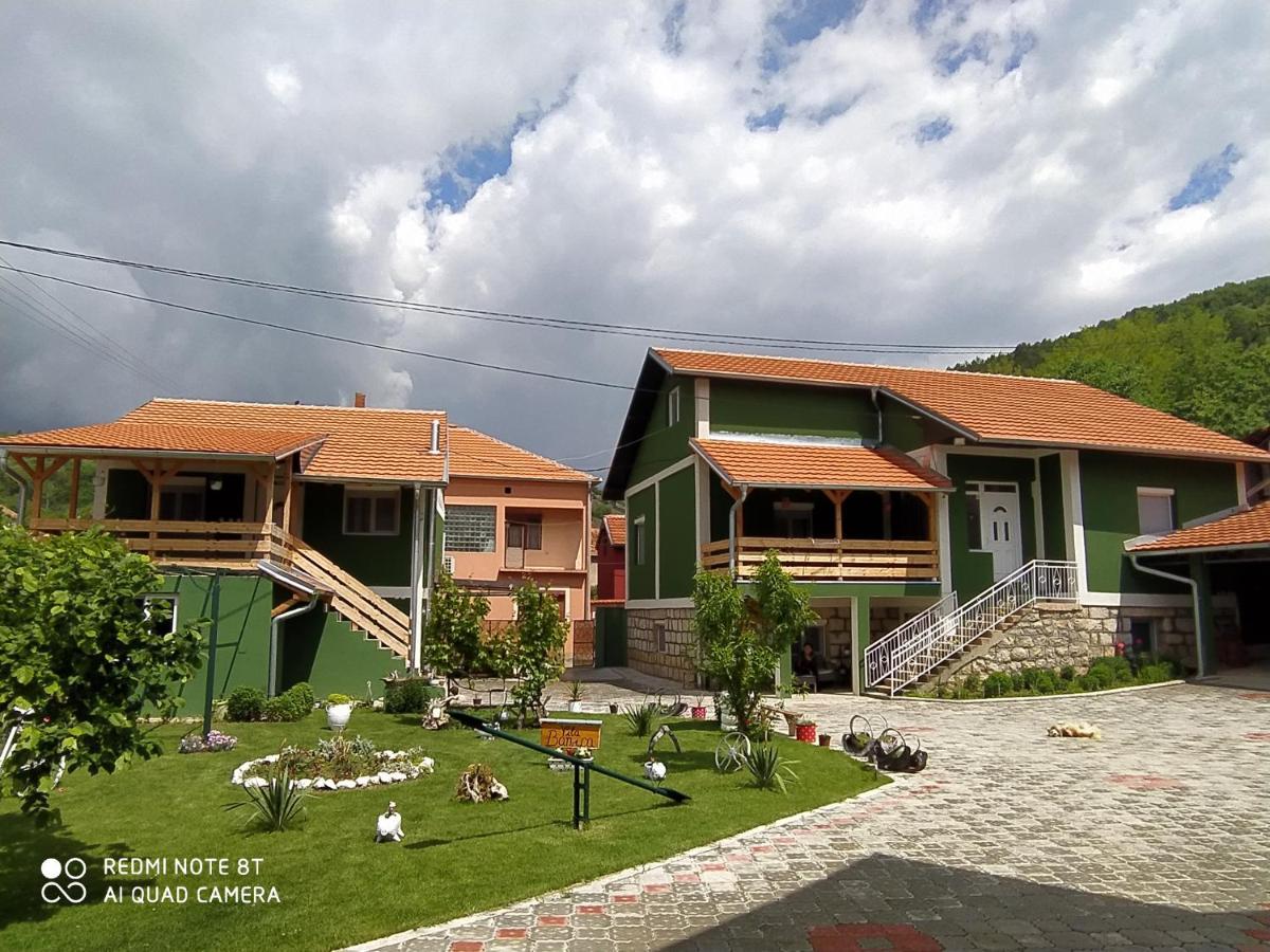 Guest House Vila Banjica Пирот Экстерьер фото
